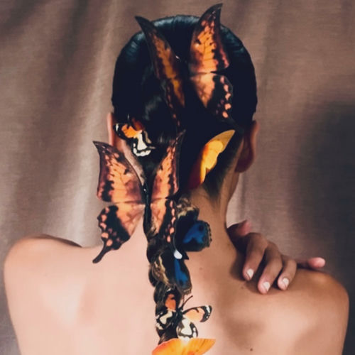 Butterflies artwork