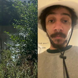 look guys!! (feat. aamu) album cover