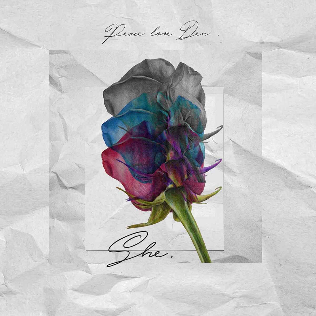 Album cover of Peace Love Den
