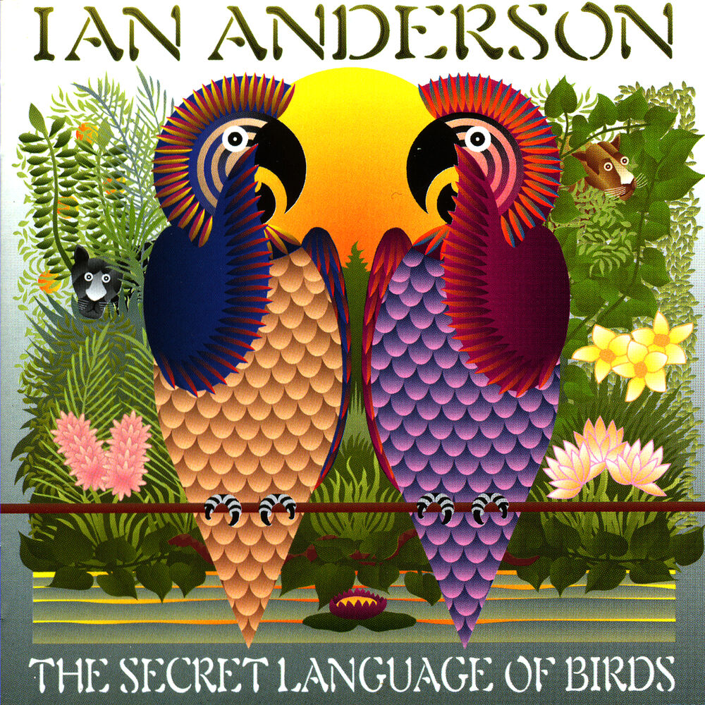 Picture of The Secret Language Of Birds