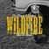 Wildfire (rad cat Remix) by Two Friends album cover