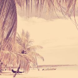 Cover of (Bossa Nova) Music for Snowbirds
