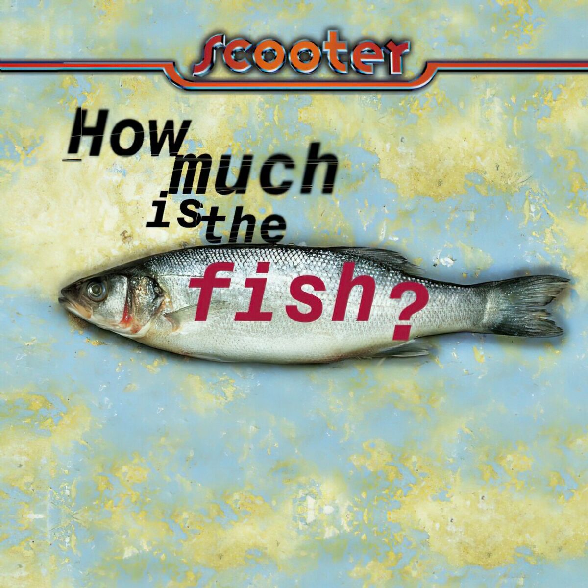Album cover of How Much Is The Fish?
