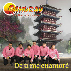 Cover of De Ti Me Enamoré