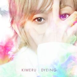 Cover of DYEING[Tsuujouban]