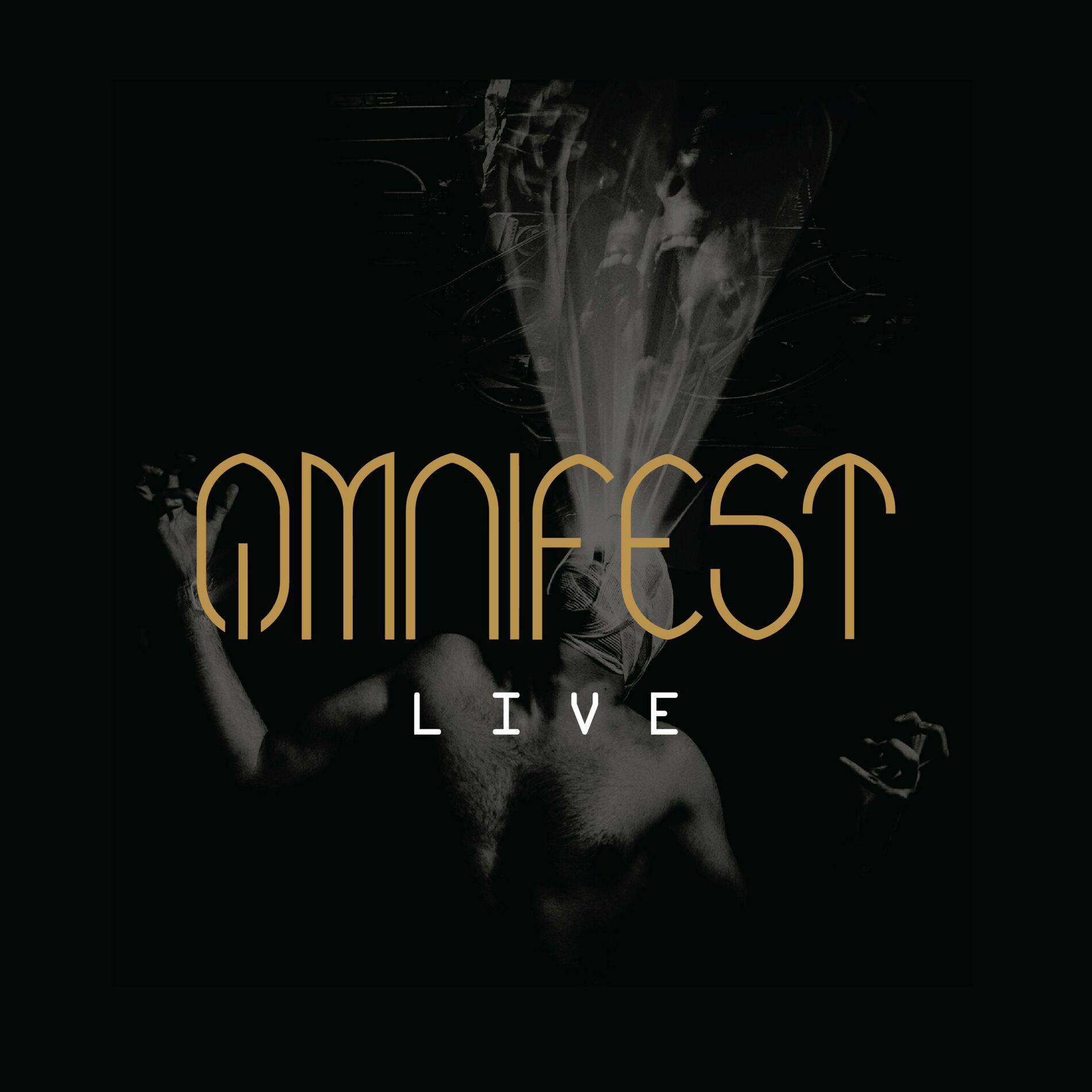 Album cover of OMNIFEST (Live)