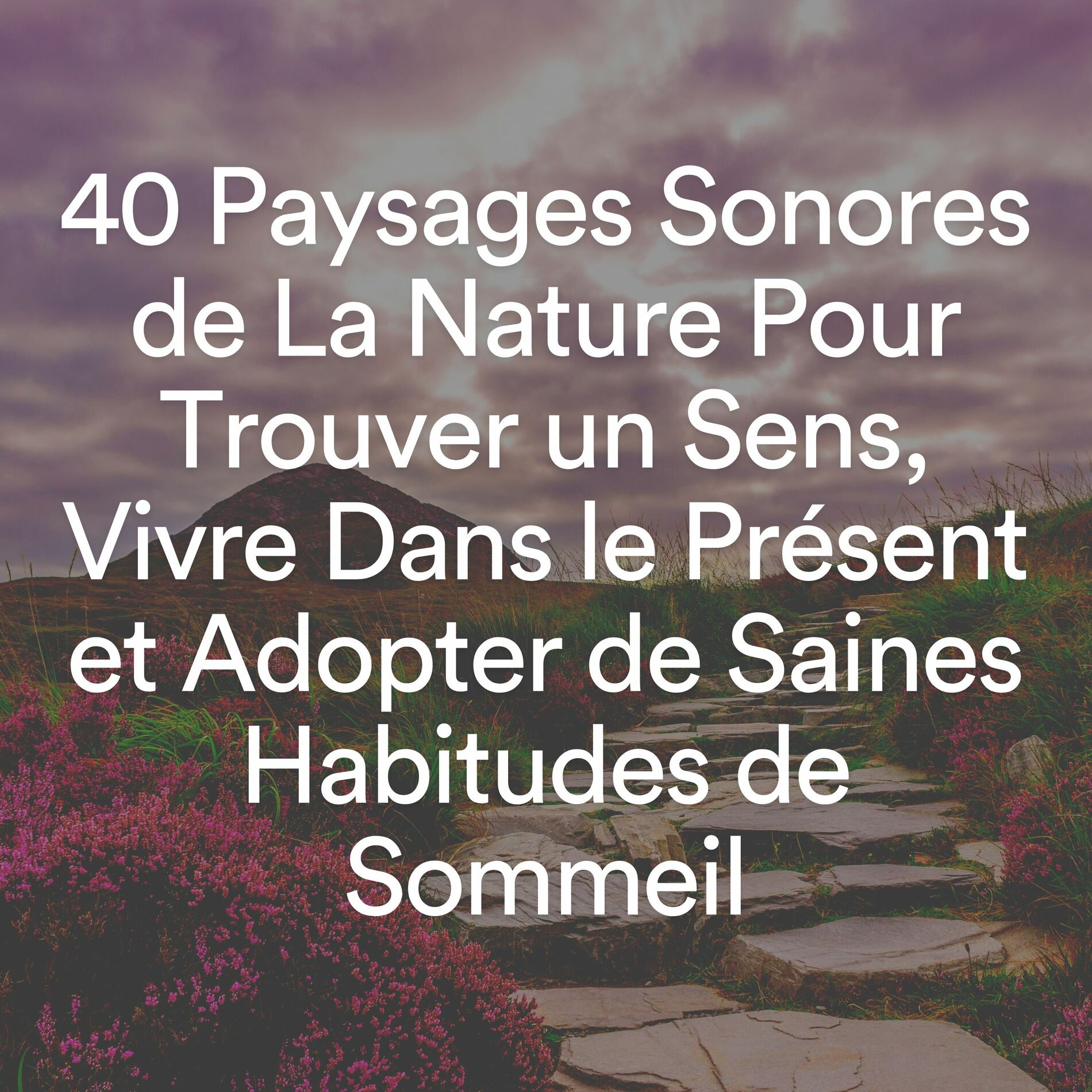 Album cover of 40 Paysages Sonores de La Nature Pour Trouver un Sens, Vivre Dans le Présent et Adopter de Saines Habitudes de Sommeil