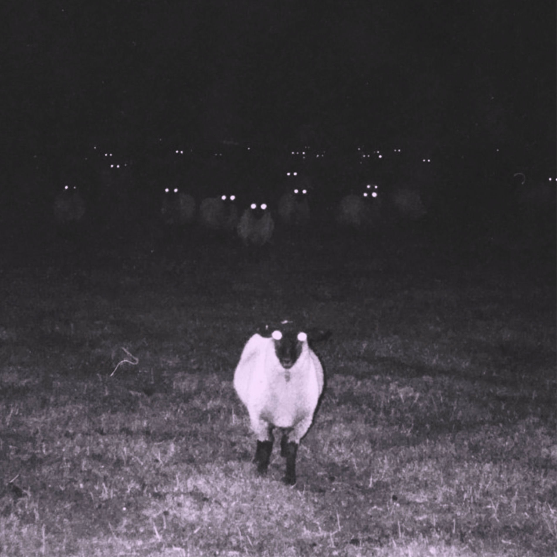Album cover of Itg.Exe