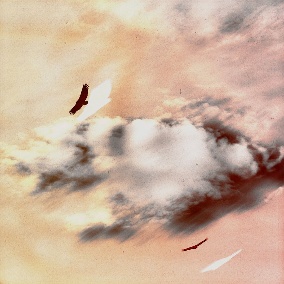 Album cover of Mirage