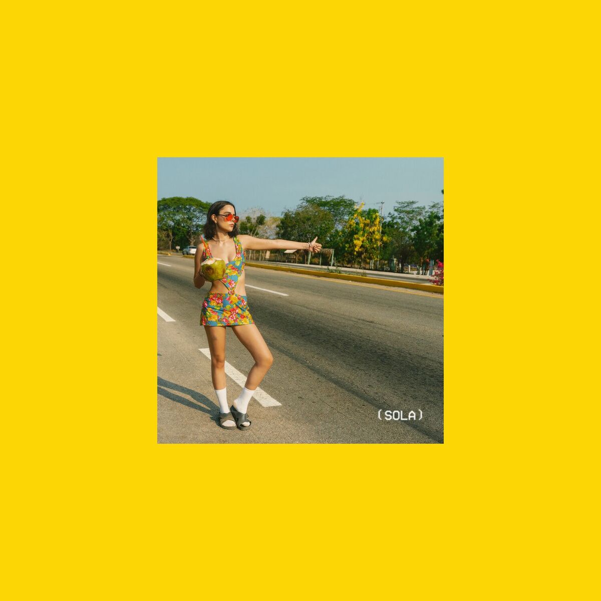 Album cover of (sola)