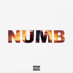 Cover of Numb