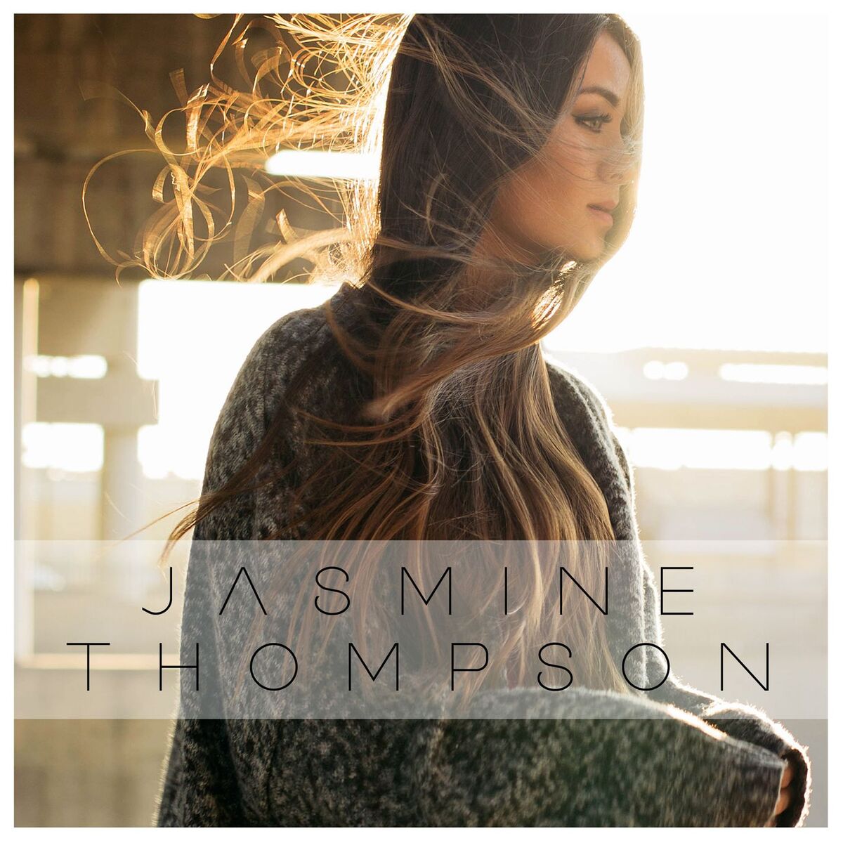 Album cover of I Will Follow You Into the Dark