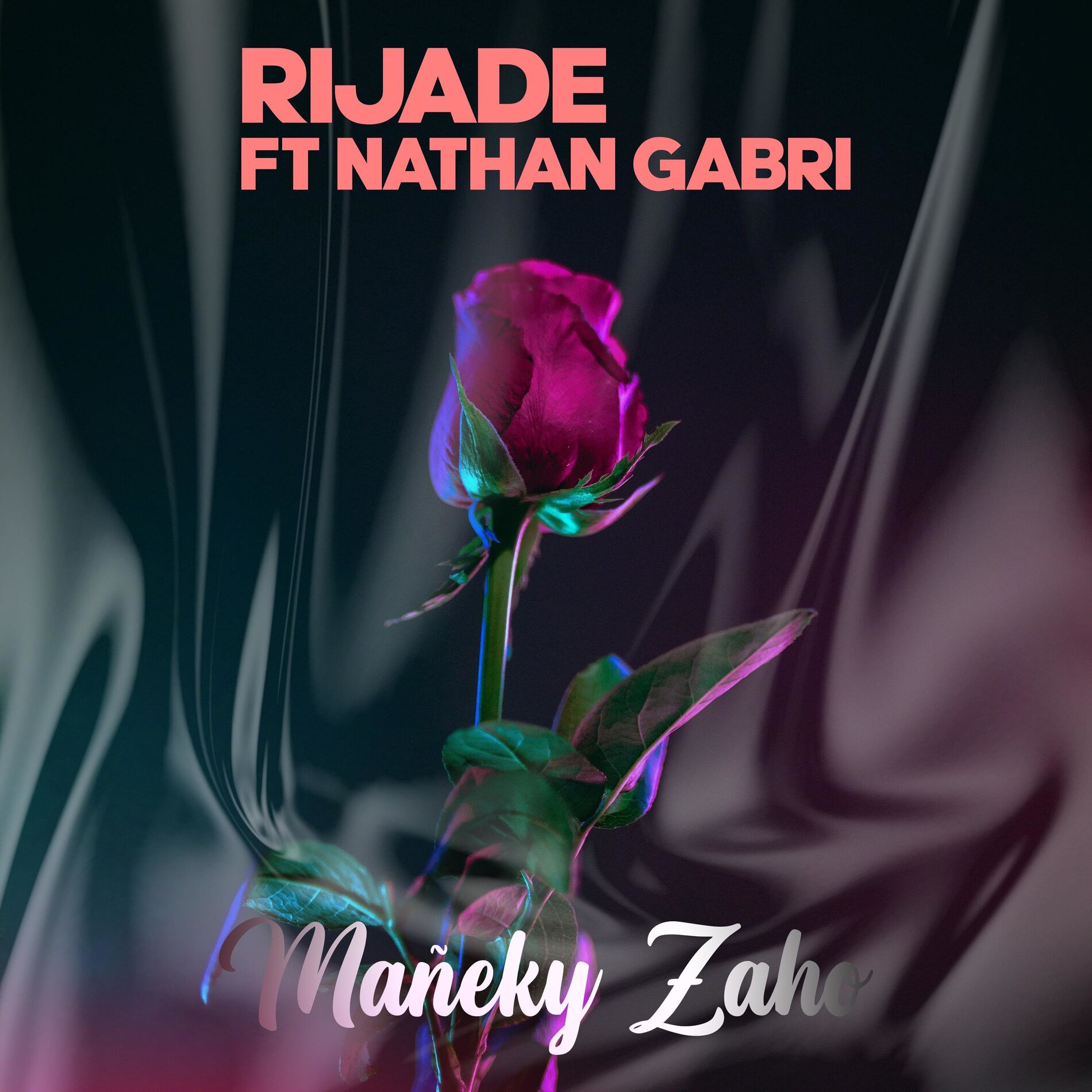 Album cover of Mañeky zaho (feat. Nathan Gabri)