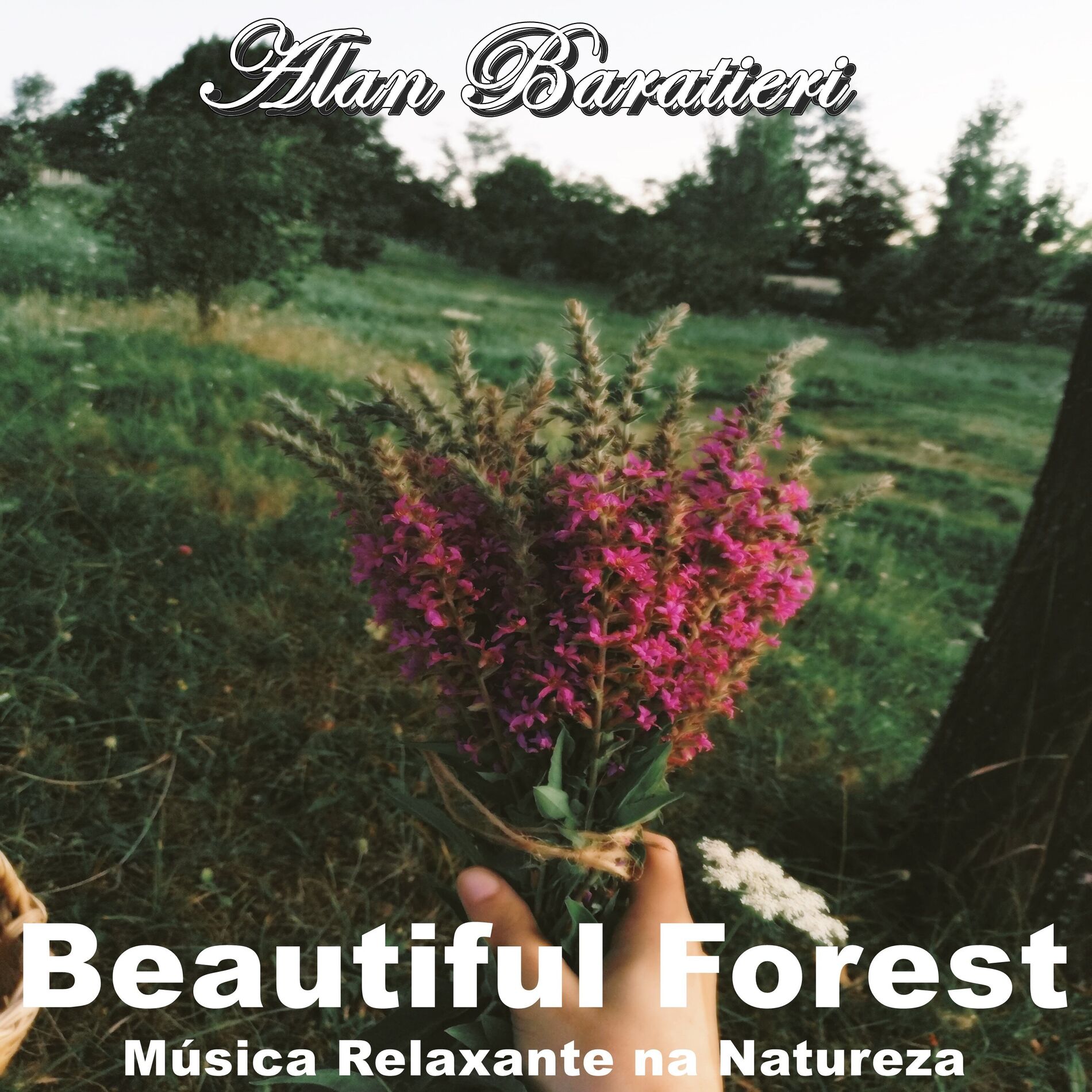 Album cover of Beautiful Forest Música Relaxante na Natureza