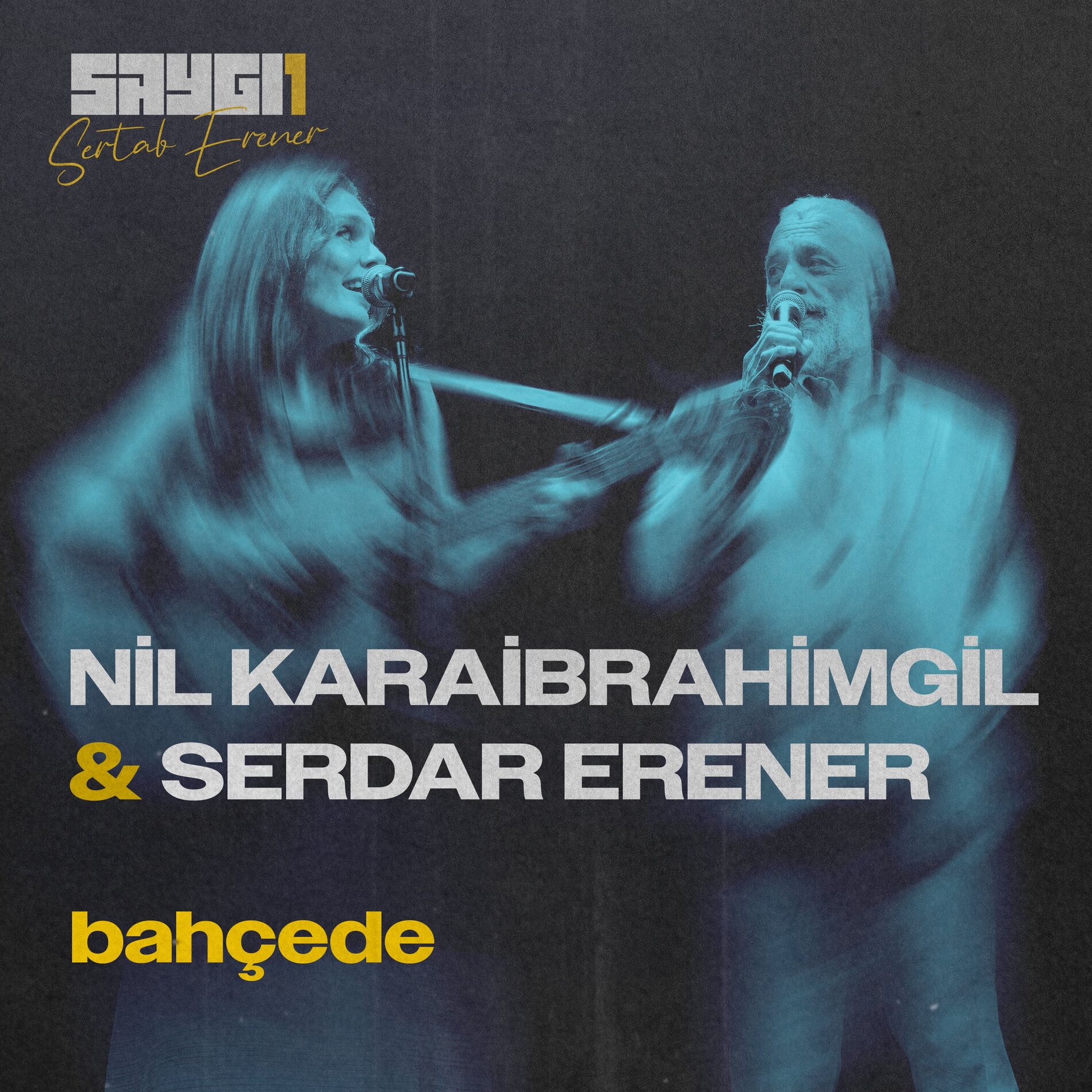 Album cover of Bahçede