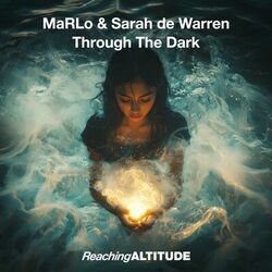 Cover of Through The Dark