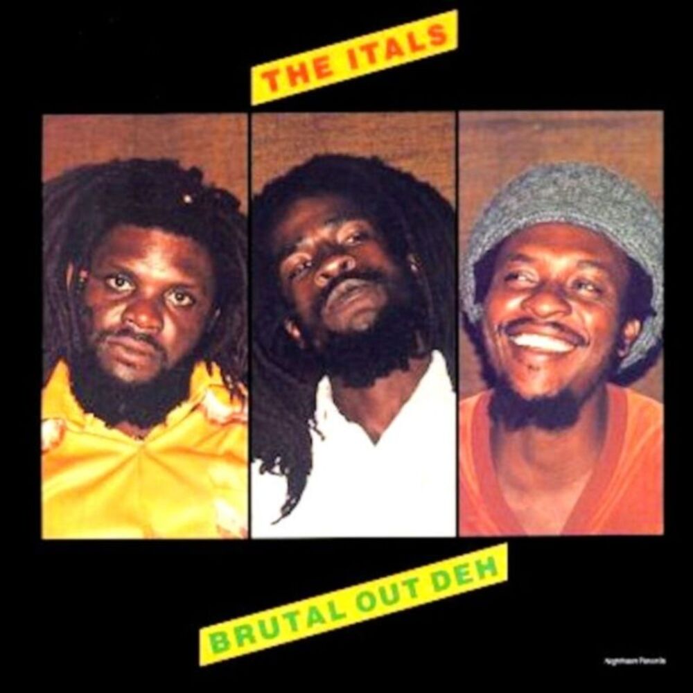 Picture of Brutal Out Deh