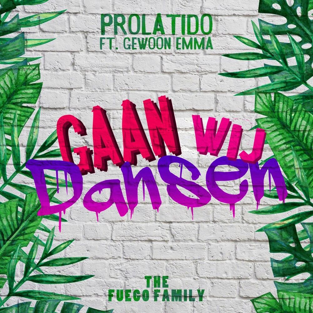 Picture of Gaan Wij Dansen
