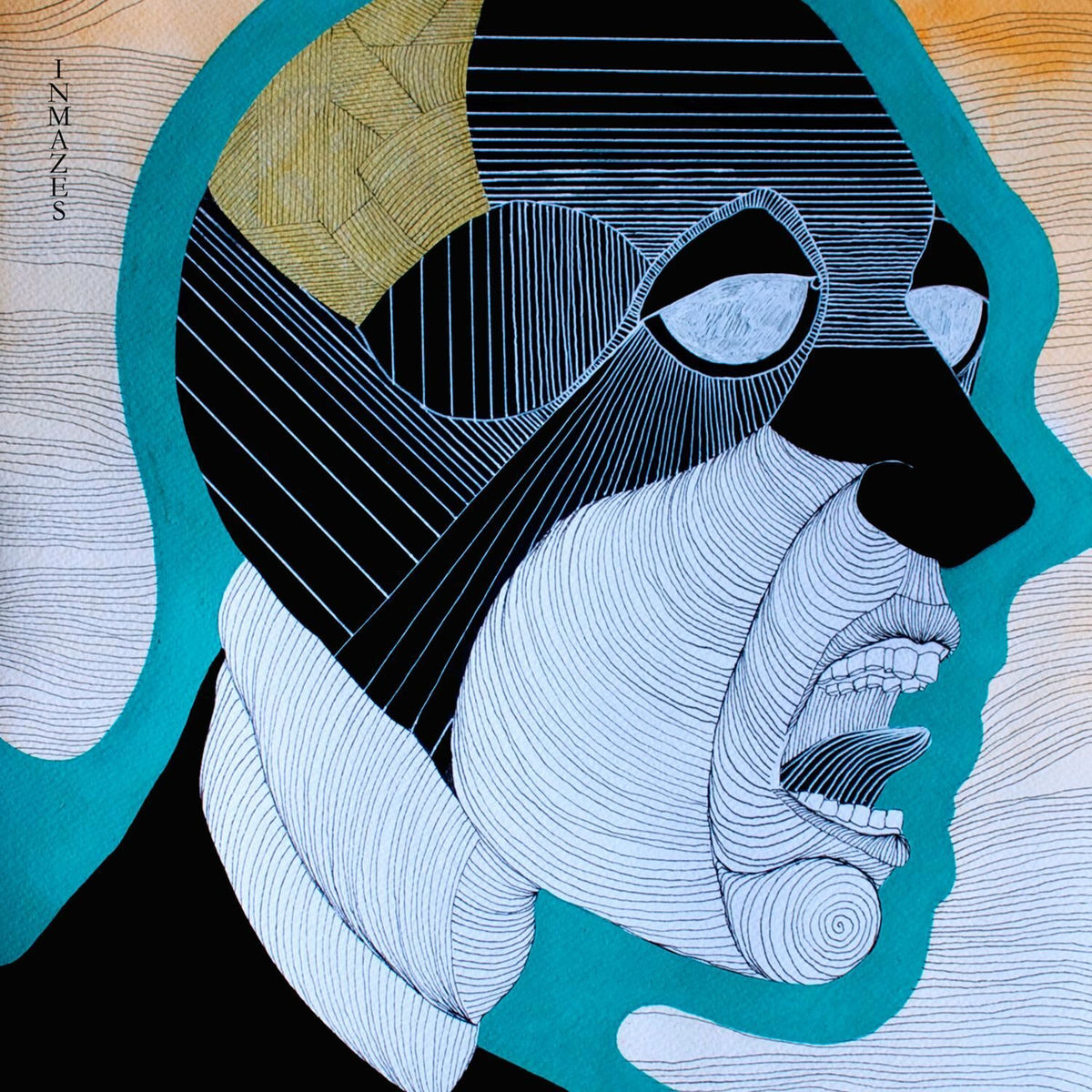 Album cover of Stray The Skies
