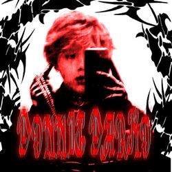 Cover of DONNIE DARKO
