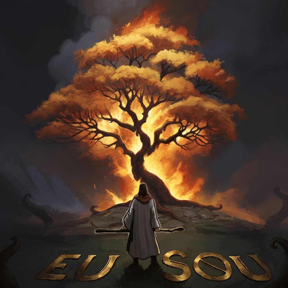 Album cover of Eu Sou