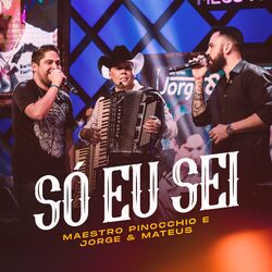 Cover of Só Eu Sei (Ao Vivo)