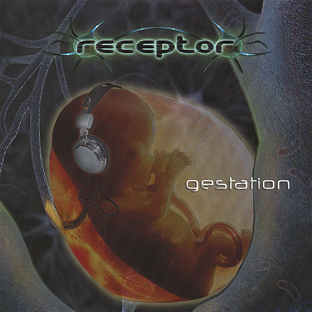 Picture of gestation
