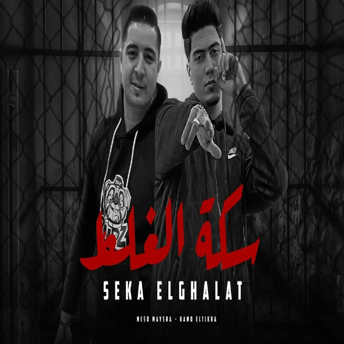Album cover of سكه الغلط