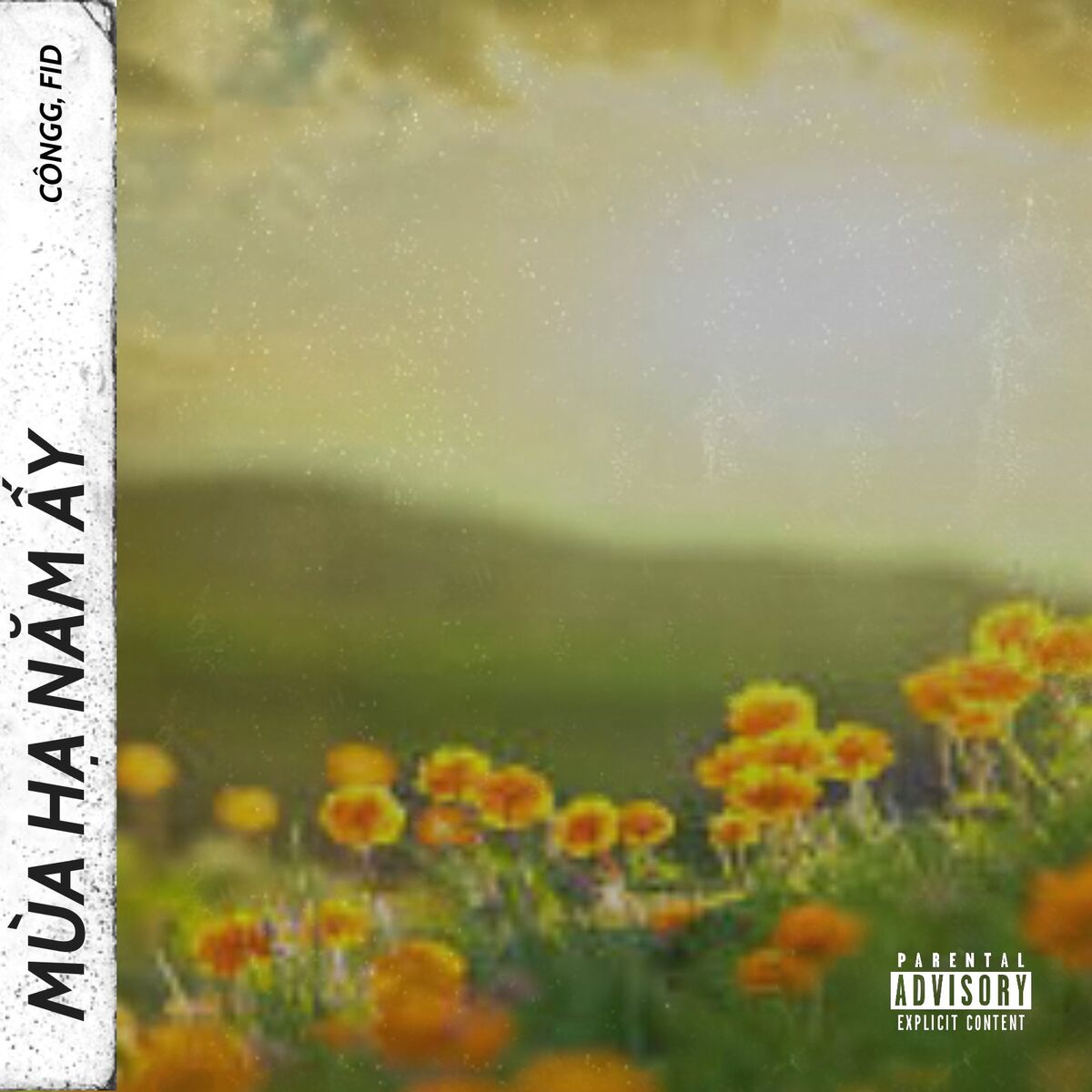 Album cover of Mùa Hạ Năm Ấy