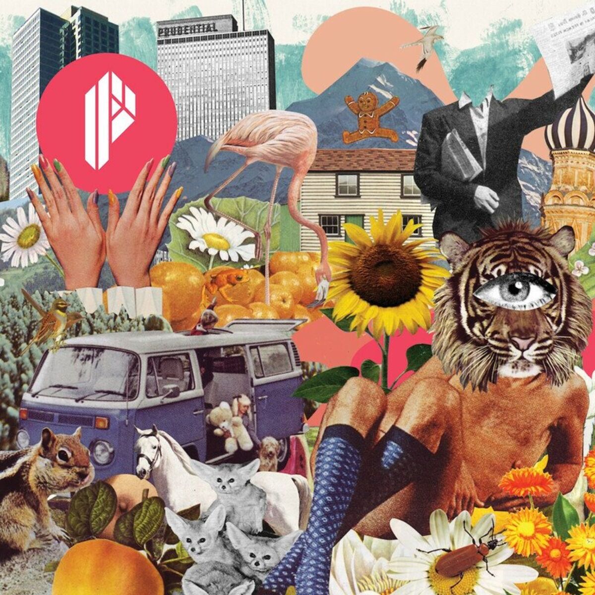 Album cover of Fish Touch