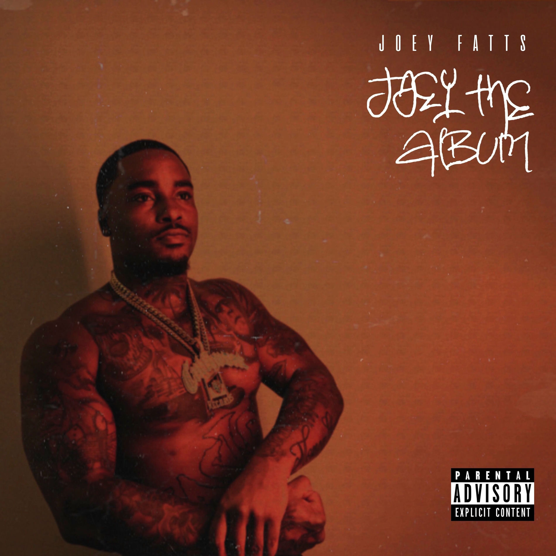 Album cover of Joey The Album
