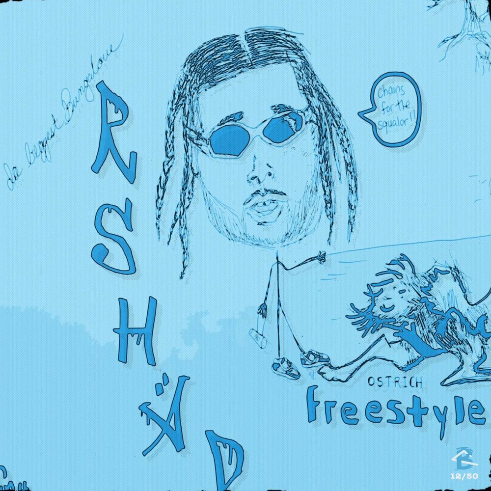 Picture of Ostrich (Freestyle)