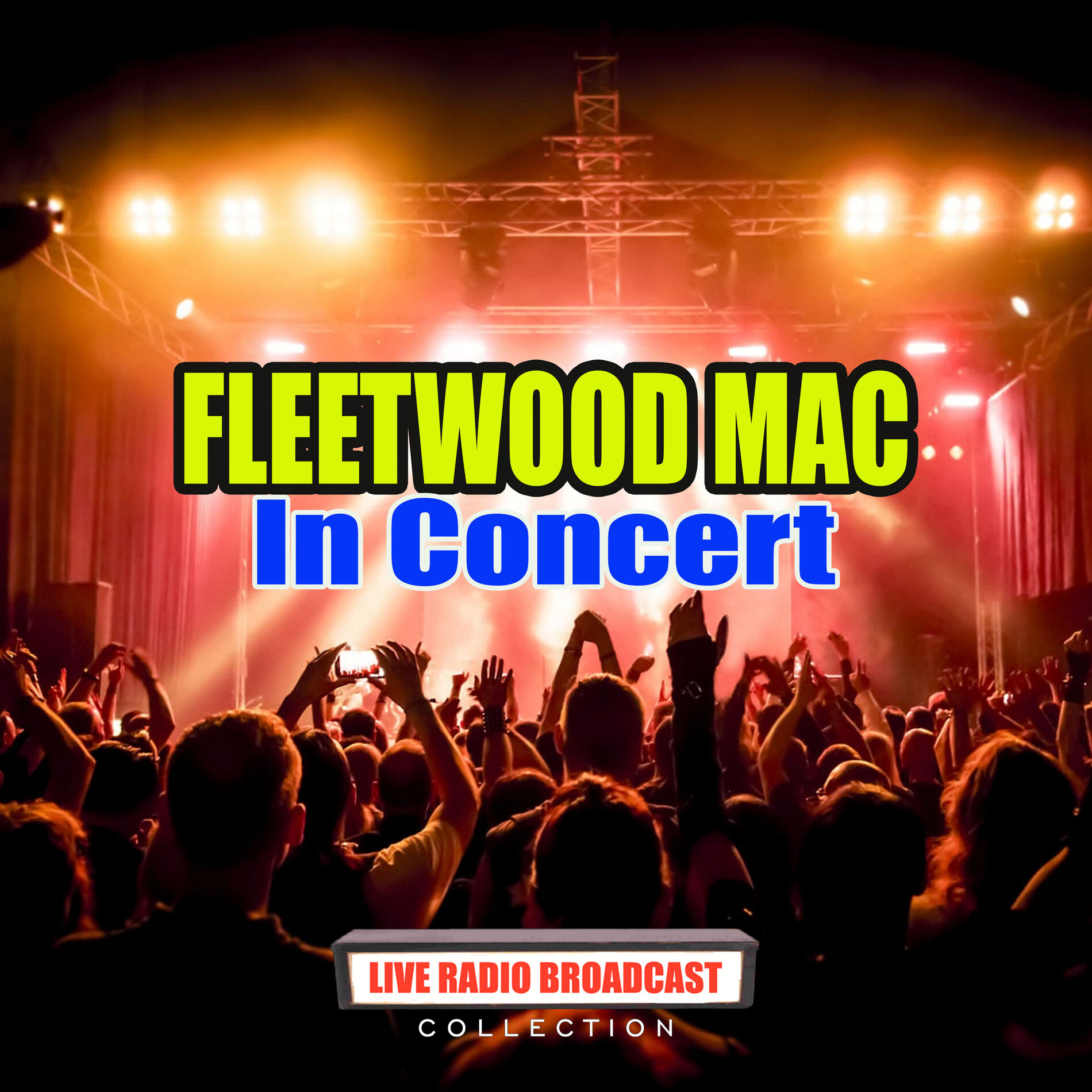 Album cover of Fleetwood Mac in Concert (Live)