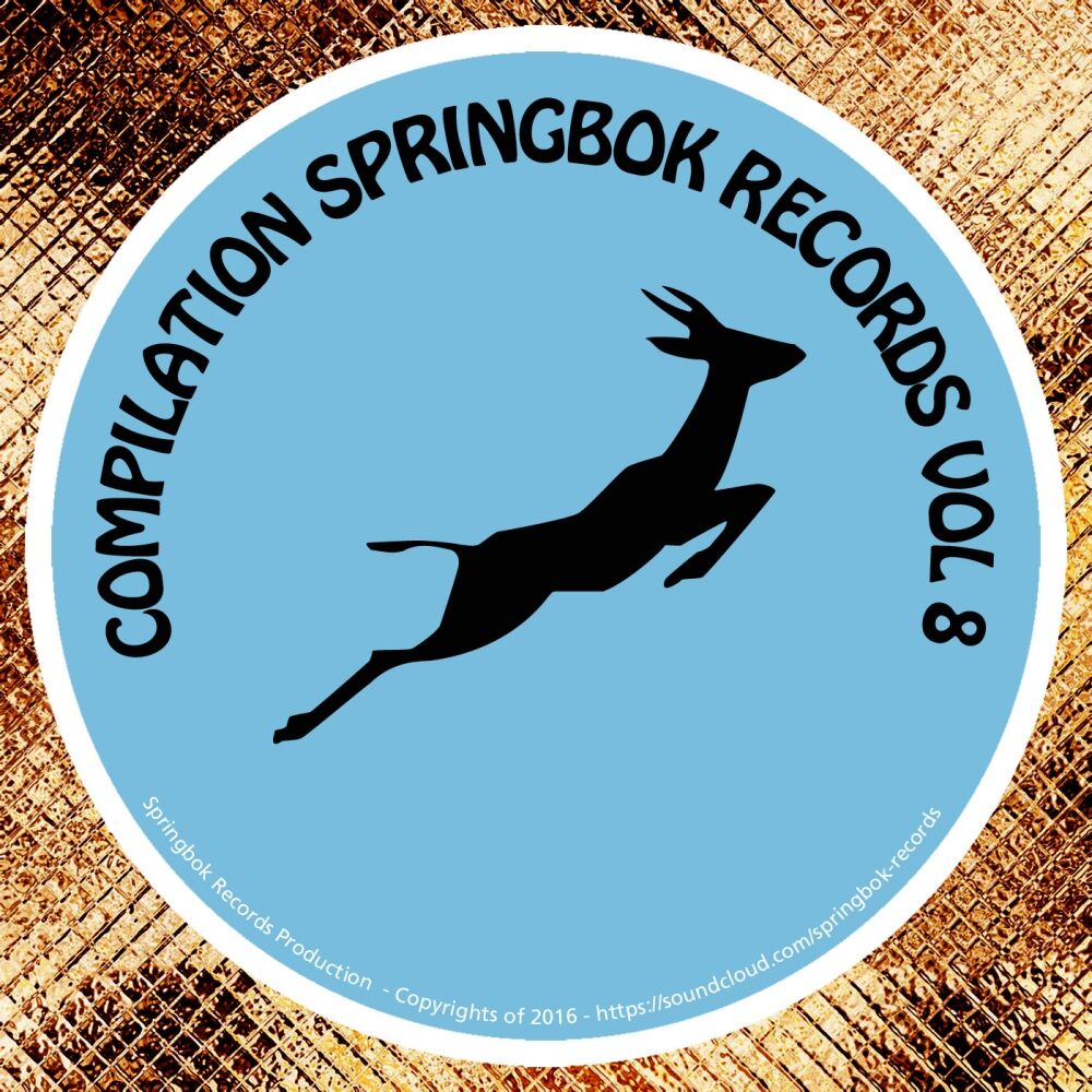 Picture of Compilation Springbok Records, Vol. 8