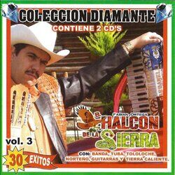 Cover of 30 Exitos Vol.3
