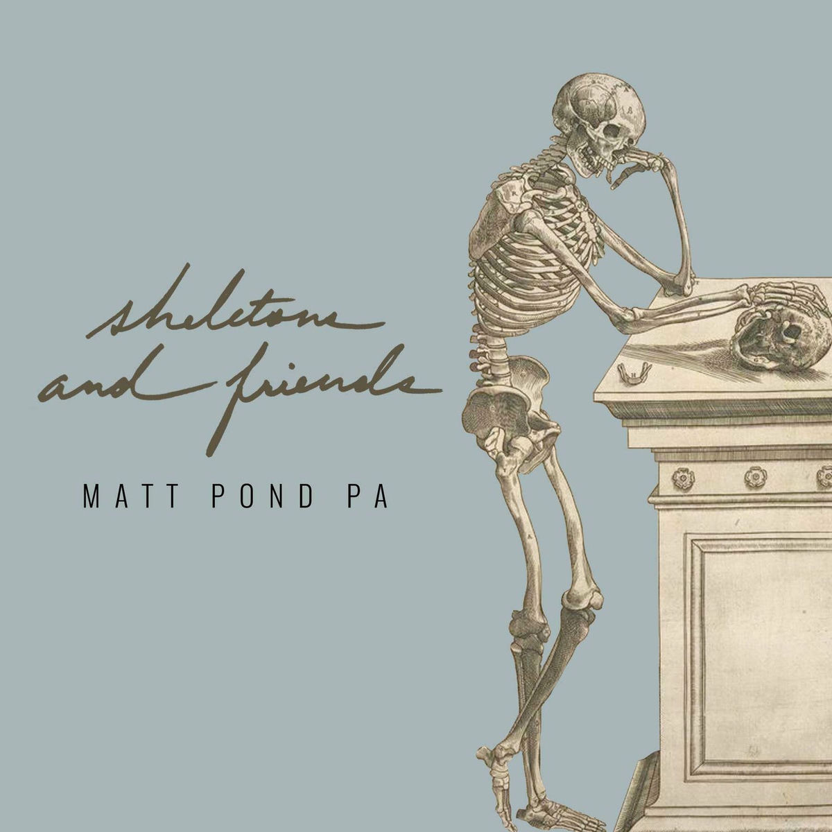Album cover of Skeletons and Friends