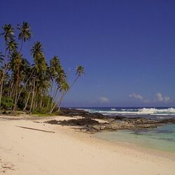 Cover of Caribbean Mystic