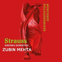 Cover of Strauss: Sinfonia Domestica