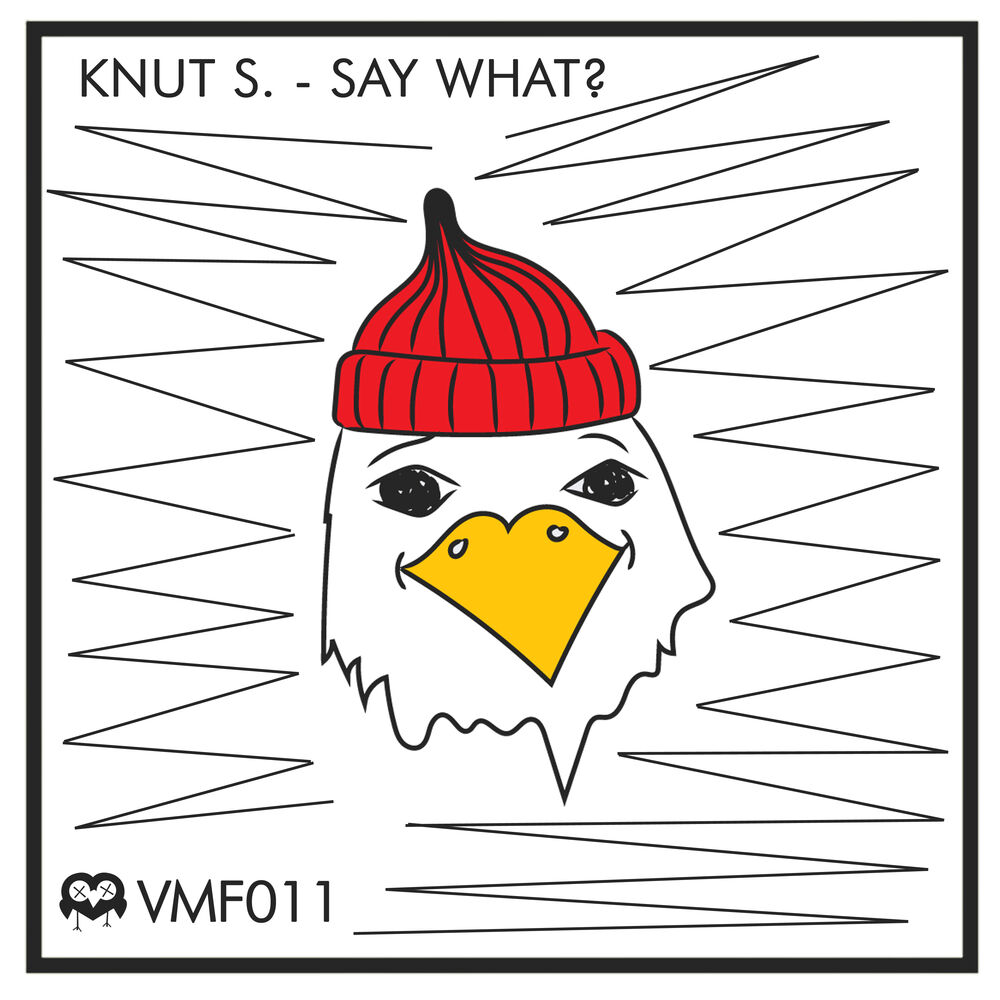 Picture of Say What?