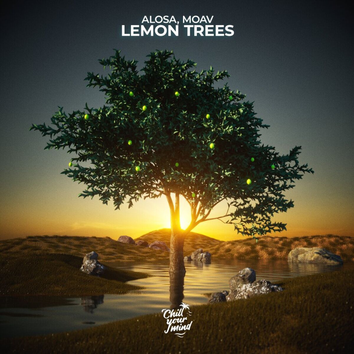 Album cover of Lemon Trees