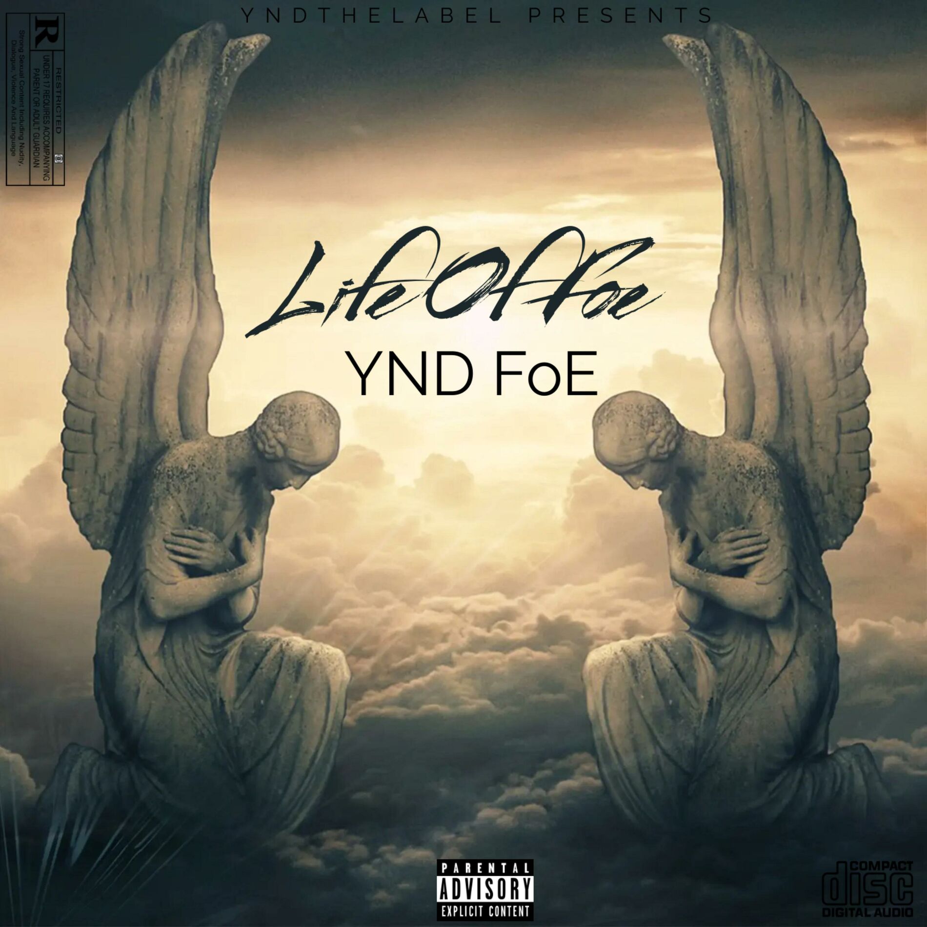 Album cover of Life Of FoE