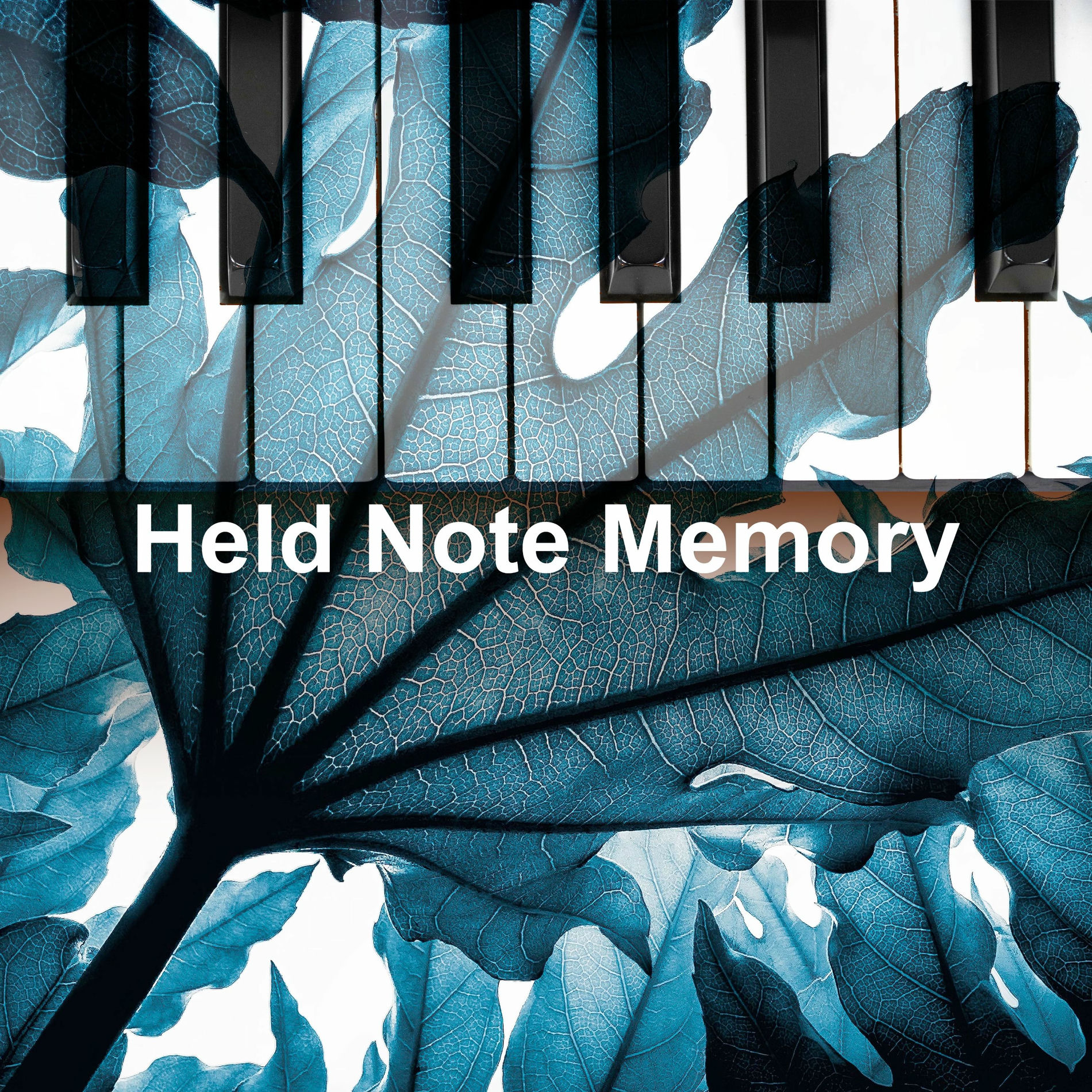 Album cover of Held Note Memory