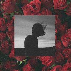 Cover of 4am