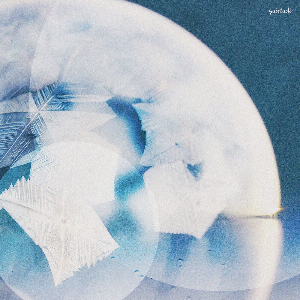 Picture of Quietude