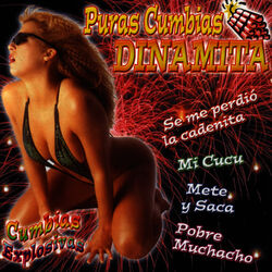 Cover of Puras Cumbias Dinamita