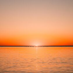 Cover of New Day