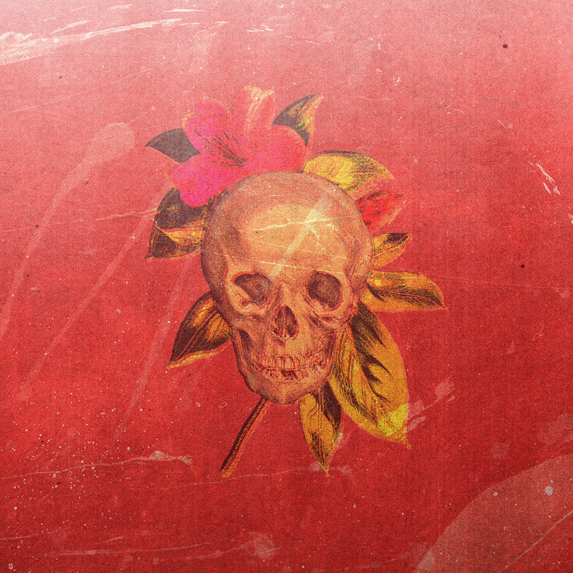Album cover of Father Said