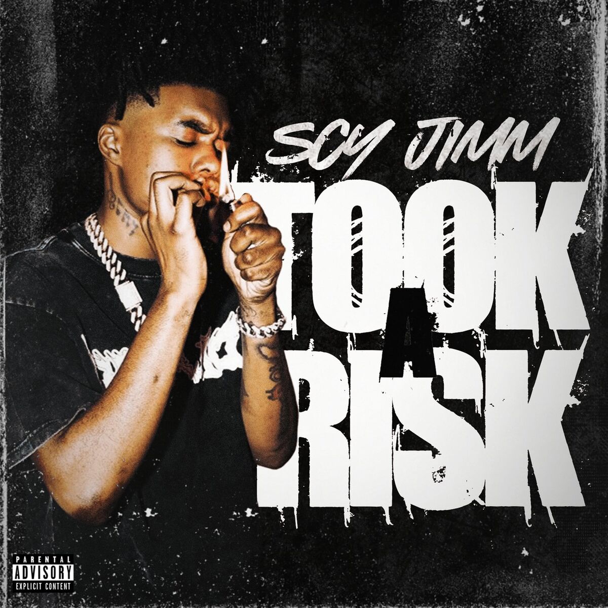 Album cover of Took a Risk