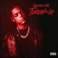 Cover of Tweakin