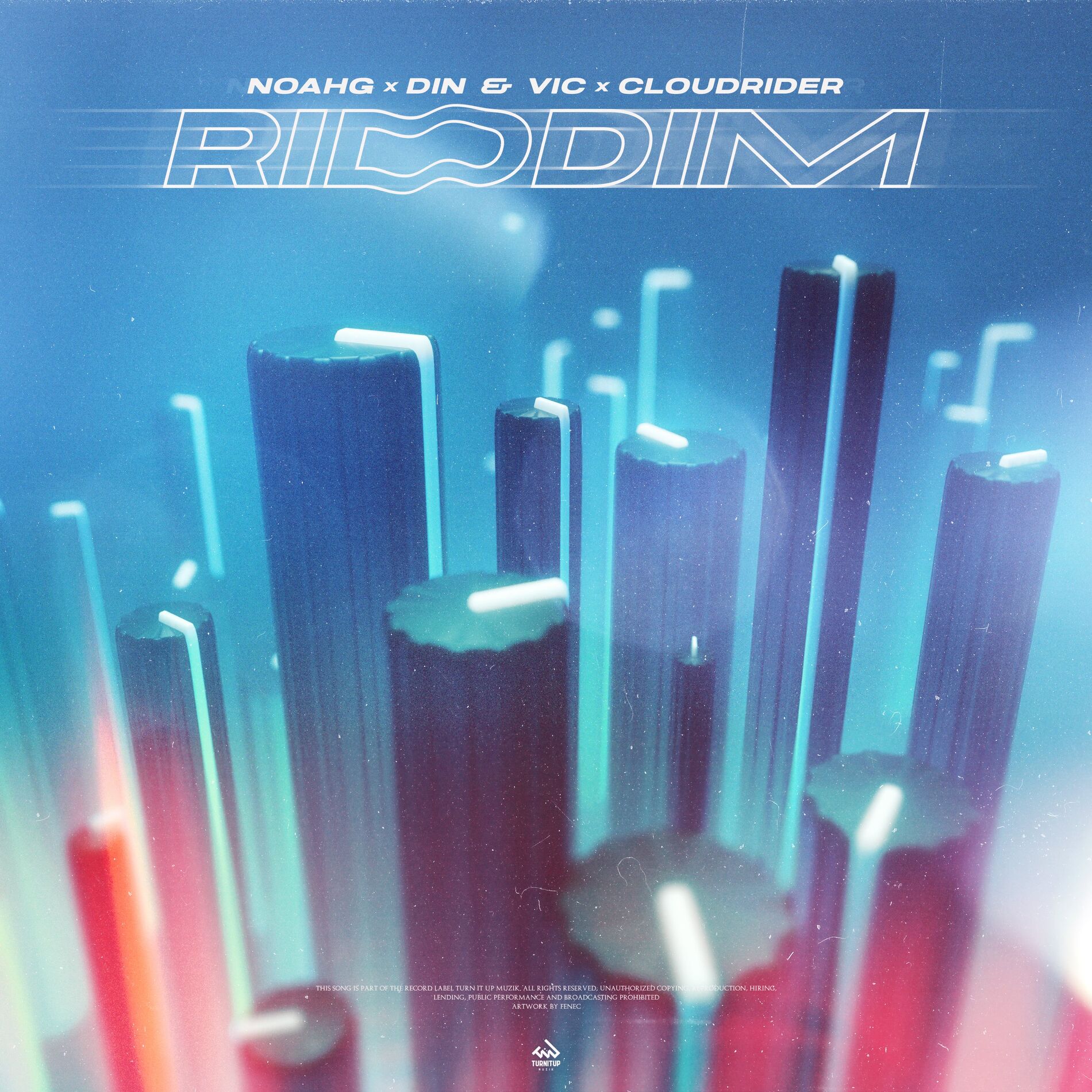 Album cover of Riddim
